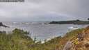 ./images/calvert/foggy-cove/20260322/foggy-cove20260322_181501M.jpg