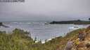 ./images/calvert/foggy-cove/20260322/foggy-cove20260322_184001M.jpg