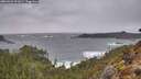 ./images/calvert/foggy-cove/20260322/foggy-cove20260322_191001M.jpg