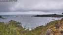 ./images/calvert/foggy-cove/20260323/foggy-cove20260323_075001M.jpg