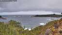 ./images/calvert/foggy-cove/20260323/foggy-cove20260323_075501M.jpg