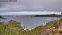 ./images/calvert/foggy-cove/20260323/foggy-cove20260323_080001M.jpg