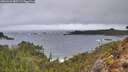 ./images/calvert/foggy-cove/20260323/foggy-cove20260323_080501M.jpg