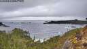 ./images/calvert/foggy-cove/20260323/foggy-cove20260323_081001M.jpg