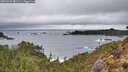 ./images/calvert/foggy-cove/20260323/foggy-cove20260323_081501M.jpg