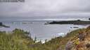 ./images/calvert/foggy-cove/20260323/foggy-cove20260323_082502M.jpg