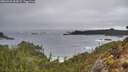 ./images/calvert/foggy-cove/20260323/foggy-cove20260323_083001M.jpg