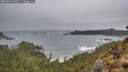 ./images/calvert/foggy-cove/20260323/foggy-cove20260323_083501M.jpg