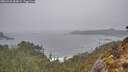 ./images/calvert/foggy-cove/20260323/foggy-cove20260323_084001M.jpg