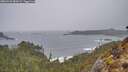 ./images/calvert/foggy-cove/20260323/foggy-cove20260323_084501M.jpg