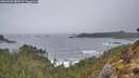 ./images/calvert/foggy-cove/20260323/foggy-cove20260323_085001M.jpg