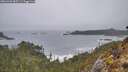 ./images/calvert/foggy-cove/20260323/foggy-cove20260323_085501M.jpg