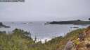 ./images/calvert/foggy-cove/20260323/foggy-cove20260323_090001M.jpg