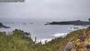./images/calvert/foggy-cove/20260323/foggy-cove20260323_091001M.jpg