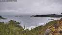 ./images/calvert/foggy-cove/20260323/foggy-cove20260323_091502M.jpg