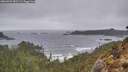 ./images/calvert/foggy-cove/20260323/foggy-cove20260323_092501M.jpg