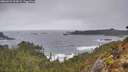 ./images/calvert/foggy-cove/20260323/foggy-cove20260323_093001M.jpg