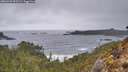 ./images/calvert/foggy-cove/20260323/foggy-cove20260323_093501M.jpg