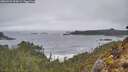 ./images/calvert/foggy-cove/20260323/foggy-cove20260323_094501M.jpg
