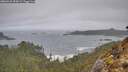 ./images/calvert/foggy-cove/20260323/foggy-cove20260323_095002M.jpg