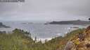 ./images/calvert/foggy-cove/20260323/foggy-cove20260323_095501M.jpg