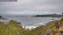 ./images/calvert/foggy-cove/20260323/foggy-cove20260323_100501M.jpg