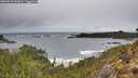 ./images/calvert/foggy-cove/20260323/foggy-cove20260323_110001M.jpg