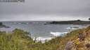 ./images/calvert/foggy-cove/20260323/foggy-cove20260323_111501M.jpg