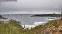 ./images/calvert/foggy-cove/20260323/foggy-cove20260323_112501M.jpg