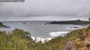 ./images/calvert/foggy-cove/20260323/foggy-cove20260323_113001M.jpg