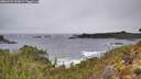 ./images/calvert/foggy-cove/20260323/foggy-cove20260323_115001M.jpg