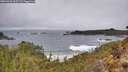 ./images/calvert/foggy-cove/20260323/foggy-cove20260323_115501M.jpg