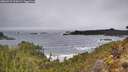./images/calvert/foggy-cove/20260323/foggy-cove20260323_120001M.jpg