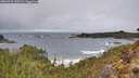 ./images/calvert/foggy-cove/20260323/foggy-cove20260323_120501M.jpg