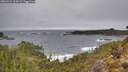 ./images/calvert/foggy-cove/20260323/foggy-cove20260323_125002M.jpg