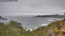 ./images/calvert/foggy-cove/20260323/foggy-cove20260323_131501M.jpg
