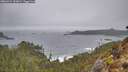 ./images/calvert/foggy-cove/20260323/foggy-cove20260323_132001M.jpg