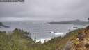 ./images/calvert/foggy-cove/20260323/foggy-cove20260323_133501M.jpg