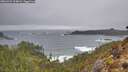 ./images/calvert/foggy-cove/20260323/foggy-cove20260323_134002M.jpg