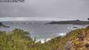 ./images/calvert/foggy-cove/20260323/foggy-cove20260323_134502M.jpg