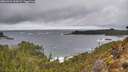 ./images/calvert/foggy-cove/20260323/foggy-cove20260323_143001M.jpg