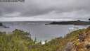 ./images/calvert/foggy-cove/20260323/foggy-cove20260323_143502M.jpg