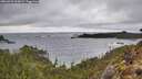 ./images/calvert/foggy-cove/20260323/foggy-cove20260323_144502M.jpg
