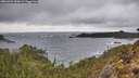 ./images/calvert/foggy-cove/20260323/foggy-cove20260323_150001M.jpg
