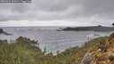 ./images/calvert/foggy-cove/20260323/foggy-cove20260323_152001M.jpg