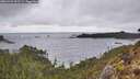 ./images/calvert/foggy-cove/20260323/foggy-cove20260323_152502M.jpg