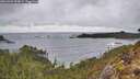 ./images/calvert/foggy-cove/20260323/foggy-cove20260323_153002M.jpg