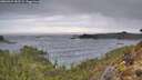 ./images/calvert/foggy-cove/20260323/foggy-cove20260323_182502M.jpg