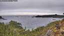 ./images/calvert/foggy-cove/20260323/foggy-cove20260323_183502M.jpg