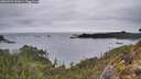 ./images/calvert/foggy-cove/20260323/foggy-cove20260323_192001M.jpg